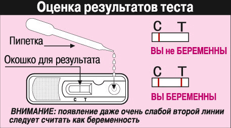 Тест на беременность